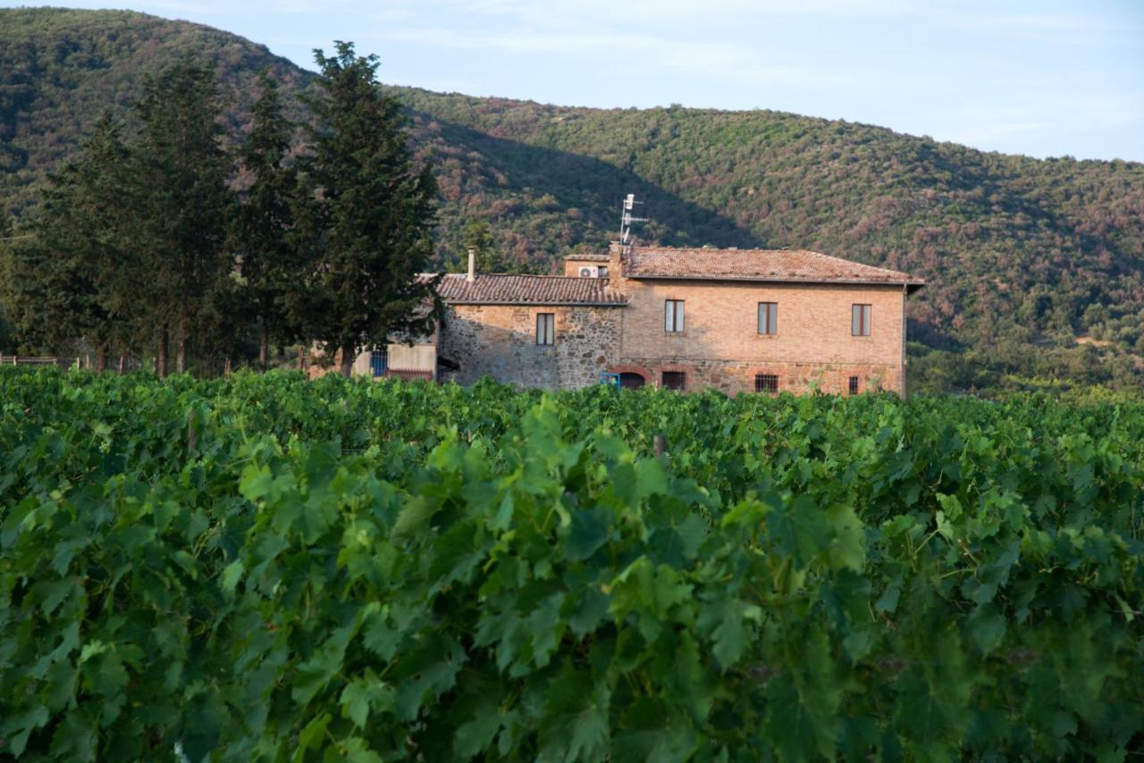 Luce Di Vino Villa Montalcino Exterior photo