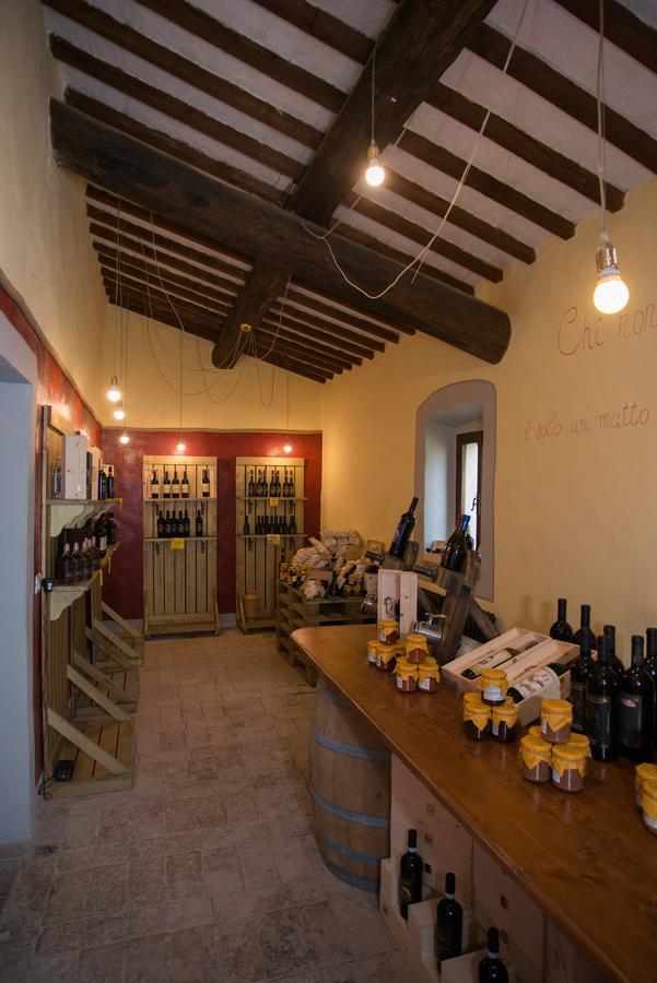 Luce Di Vino Villa Montalcino Exterior photo